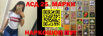 спайс Аргун
