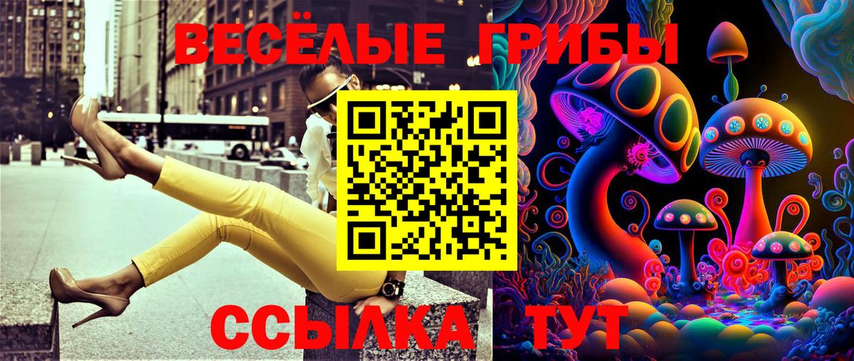 Волжск  Галлюциногенные грибы Magic Shrooms  Вход с VPN 